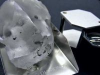 Dünyanın en büyük beşinci elması bulundu