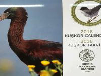 Kıbrıs Vakıflar İdaresi, Kıbrıs’ta yaşayan kuşların korunmasına destek verdi
