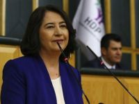 HDP Eş Genel Başkanı Kemalbay'dan Afrin açıklaması