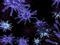 Bilim insanları Azteklerin ölüm nedenini buldu