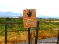 Hatay'da 55 yabancı uyruklu yakalandı