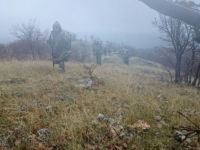 Lice'deki operasyonda 18 sığınak ve 1 mağara imha edildi