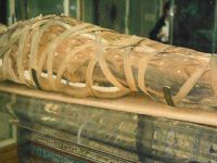 Mumya Nasser’in hediyesi değilmiş