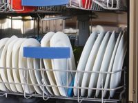 Patojenler ölümcül olabilir