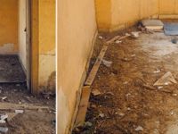 Boş evler âlem yuvası oldu!