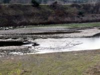 Korkutan kuraklık uyarısı