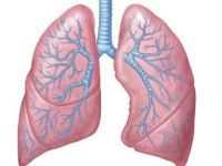 Akciğerleri yeniden doğmuş gibi temizleyen yöntem!