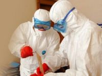 Belçika'da Şarbon paniği