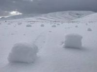 Kayseri'de köylüleri şaşırtan görüntü