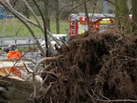 Almanya'da fırtına nedeniyle hayatını kaybedenlerin sayısı 8'e çıktı