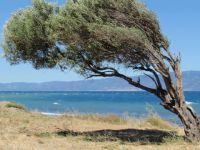 Rüzgar bazı bölgelerde 100 Kilometre’yi aştı