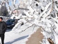 Soğuk hava dalgası 'yorgan döşek yatırabilir'
