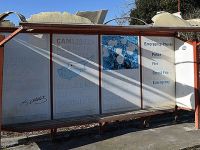 Ya kaldırın ya da tamir edin