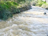 Bereketli yağışlar dereleri getirdi