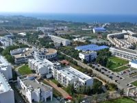 Lefke stöleri: “Soli arkeolojik sit alanını yem yaptırmayacağız”