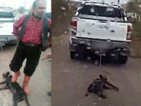 Mersin'de vicdansız sürücüden köpeğe eziyet