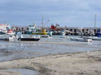 Tekirdağ'da deniz çekildi, tekneler karaya oturdu