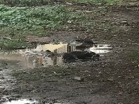 Güzelyurtta vahşet!