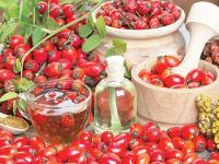 Kuşburnu çekirdeği yağı mucizesi