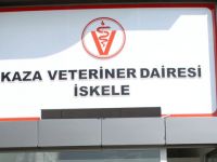 "İskele’de Veteriner Dairesi modern binaya kavuştu"