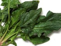 Demir eksikliğine iyi gelen besinler