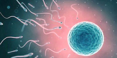 Besinler sperm kalitesini etkiliyor