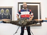 Ölen kedisini drone yaptı