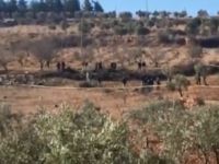 Kilis ve Reyhanlı'ya roketli saldırı