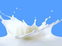 Süt bedelleri ödenmeye başladı