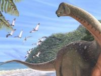 Mısır'da otobüs uzunluğunda dinozor keşfedildi