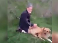 82 yaşındaki dededen köpeğe tecavüz girişimi: Nefsime yenik düştüm