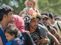 Avrupa'ya İltica başvurusu yüzde 43 azaldı