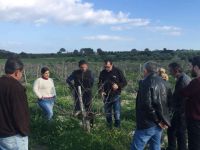 Tarım Dariesi arı popülasyonunun korunması için tavsiyelerde bulundu