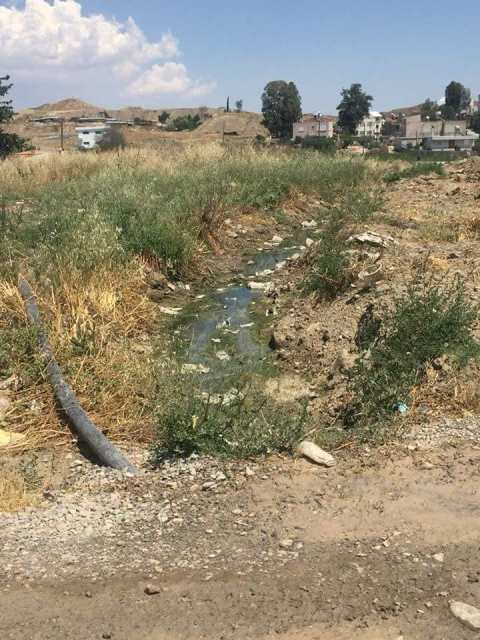 33522856_10156254163400782_5890836659108315136_n.jpg 33522856_10156254163400782_5890836659108315136_n.jpg