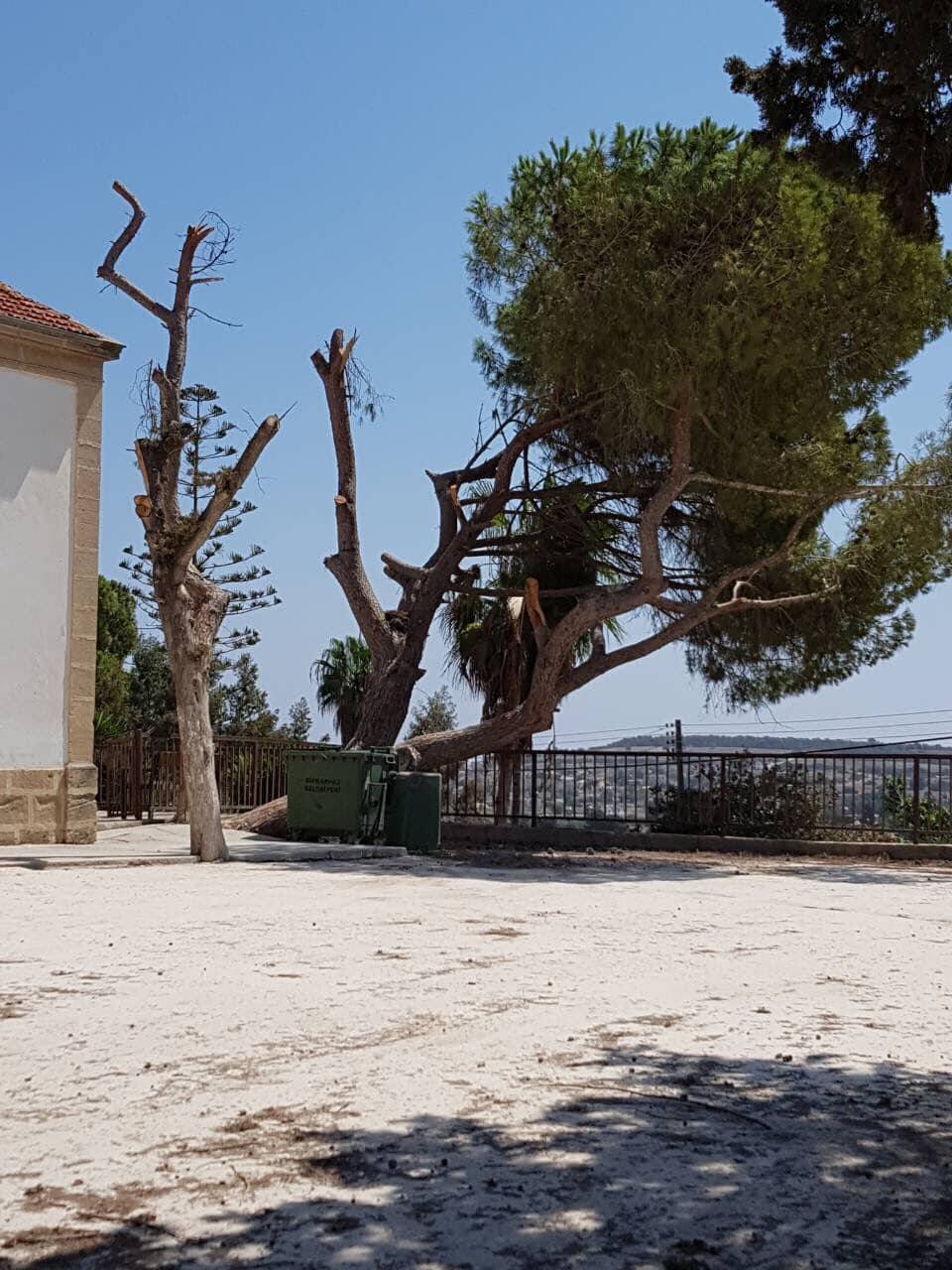 dipkarpaz-2.jpg dipkarpaz-2.jpg