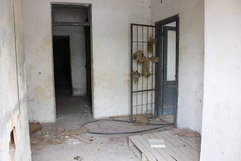 ickici-2.jpg ickici-2.jpg