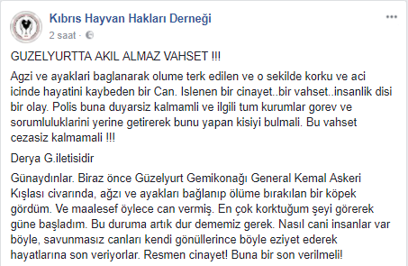 kopek-001.png kopek-001.png